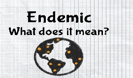 The Meaning of Endemic