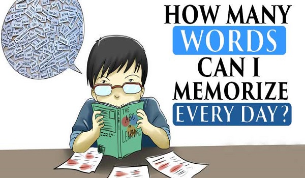 How Many Words Can You Memorize in a Day? 