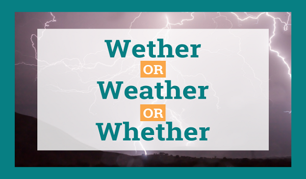 Wether, Weather, and Whether: What's the Difference?